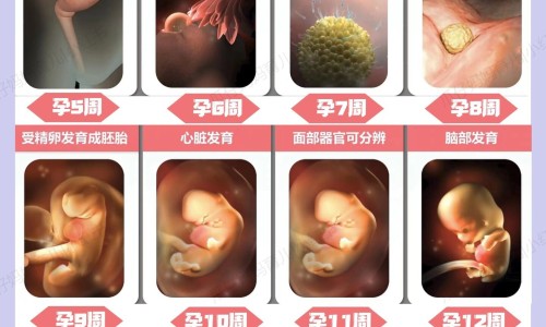 【脸上长水泡耳朵后面有疙瘩怎么回事啊】脸上长水泡耳朵后面有疙瘩怎么回事啊 - 脸上和耳朵上长小水泡网